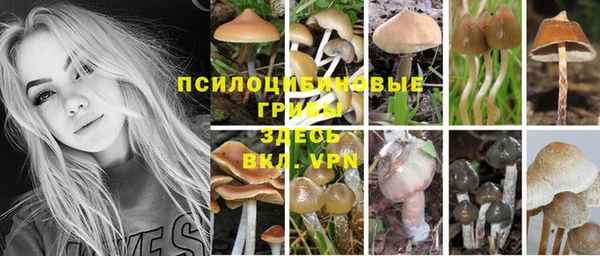 MDMA Ладушкин