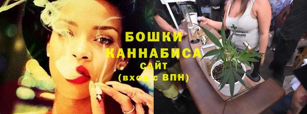 соль ск Лагань