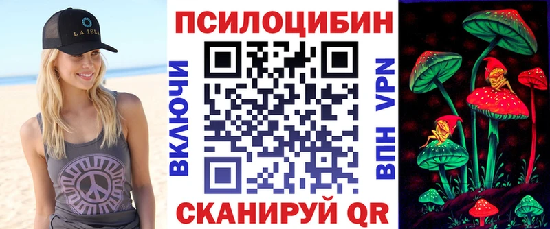 Галлюциногенные грибы Psilocybe  гидра как зайти  Чудово  где найти наркотики 